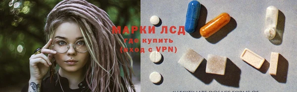 mdpv Богданович