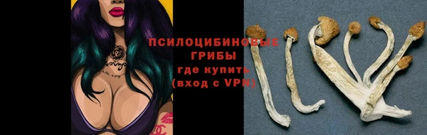 эйфоретик Богородск