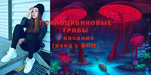 ешки Богородицк