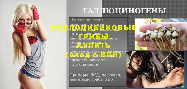 эйфоретик Богородск