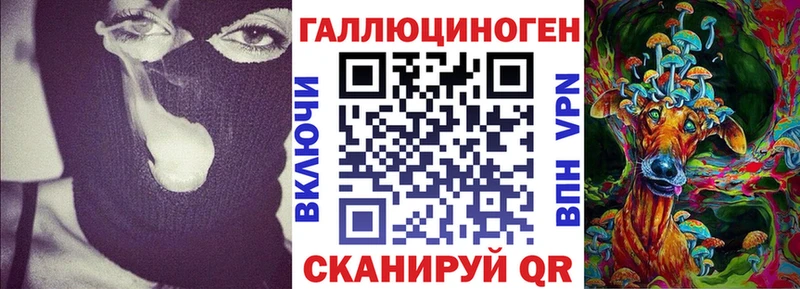 Купить закладки  Невель  Псилоцибиновые грибы Psilocybe 