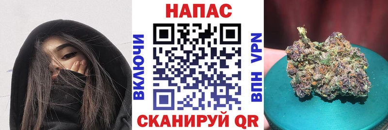 Купить где  Невель  МАРИХУАНА сатива 